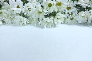 葬儀をイメージした白い花