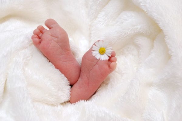 赤ちゃんの足と一輪の花