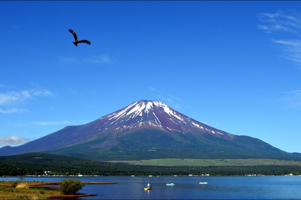 富士山と鷹