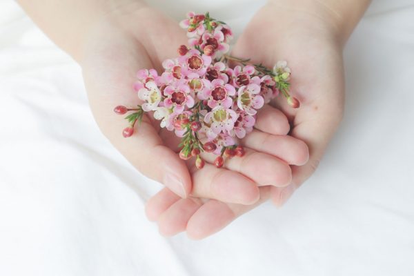 ピンクの花と手