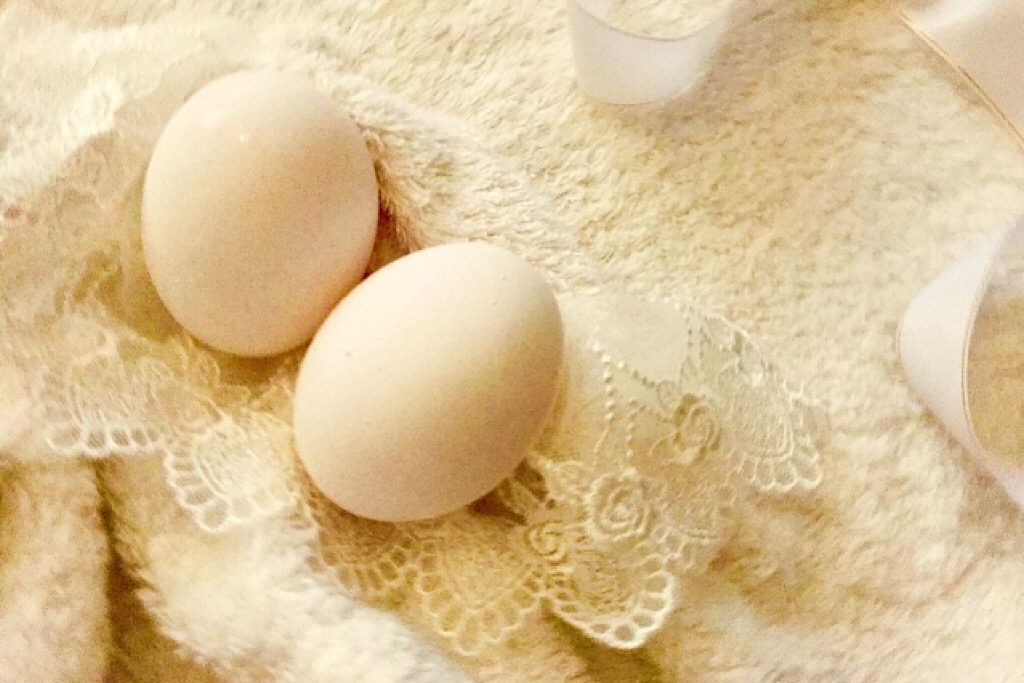 産まれたての卵